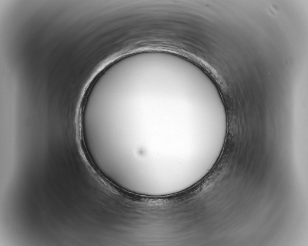 X0000094321522200711021103