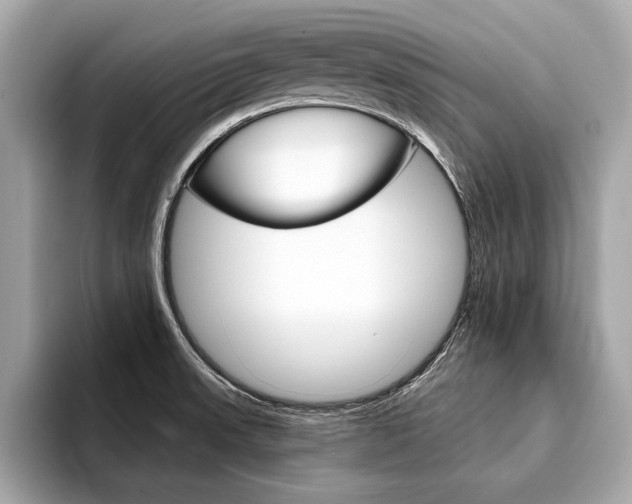 X0000094321523200711021103