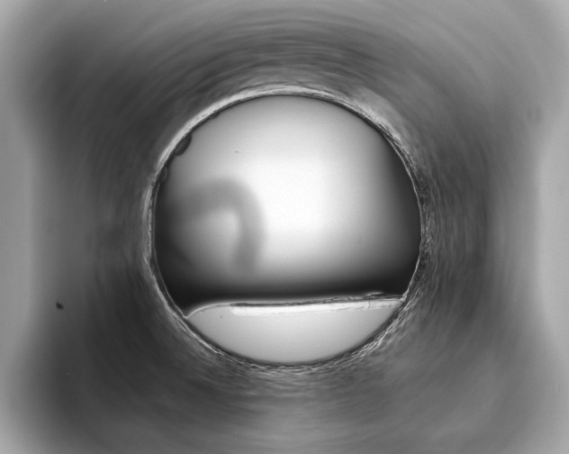 X0000094321524200711021104