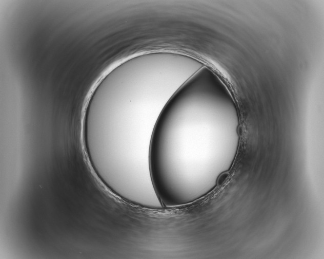 X0000094321528200711021104