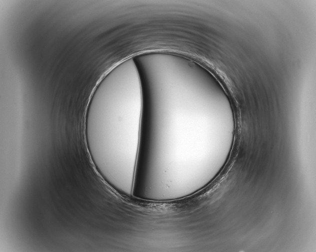 X0000094321529200711021104