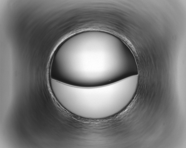 X0000094321530200711021104