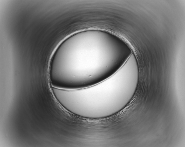 X0000094321532200711021104