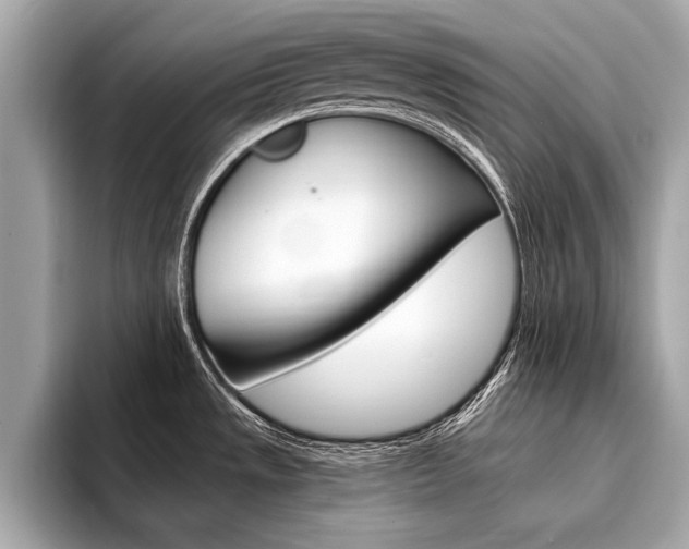 X0000094321533200711021104