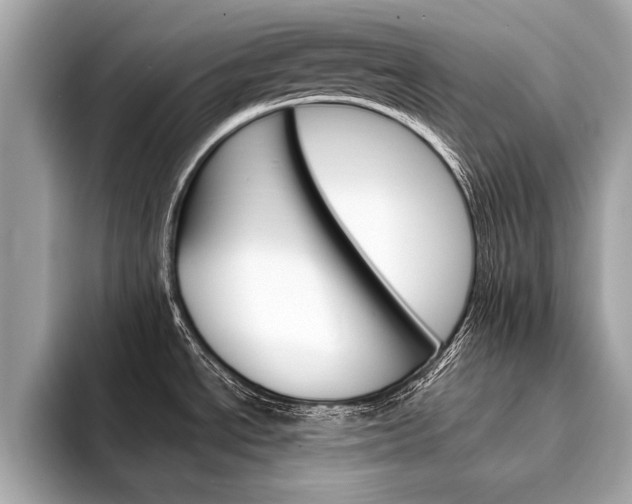 X0000094321534200711021104