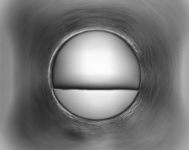 X0000094321535200711021104