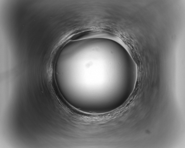 X0000094320005200711021400