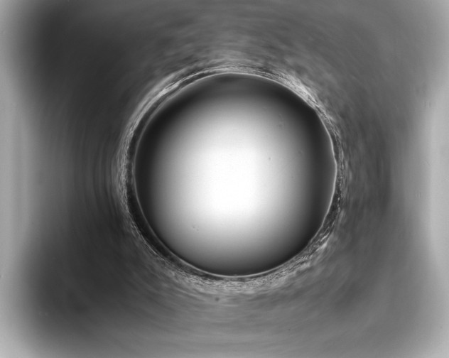 X0000094320007200711021400