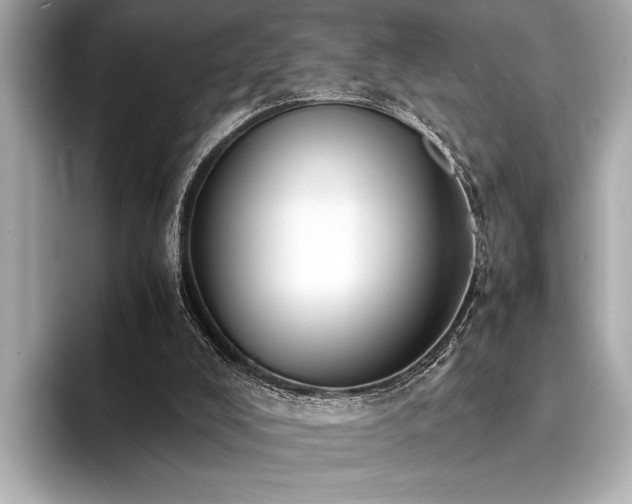 X0000094320008200711021400