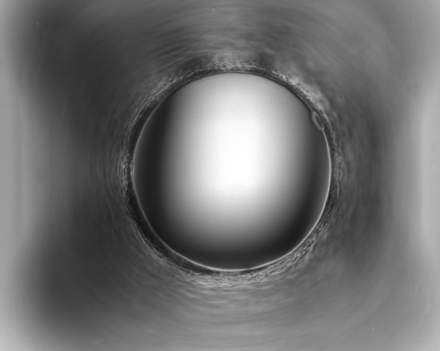 X0000094320009200711021400
