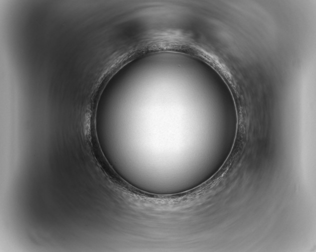 X0000094320010200711021400
