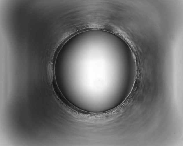 X0000094320011200711021400