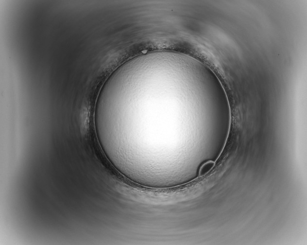 X0000094320018200711021400