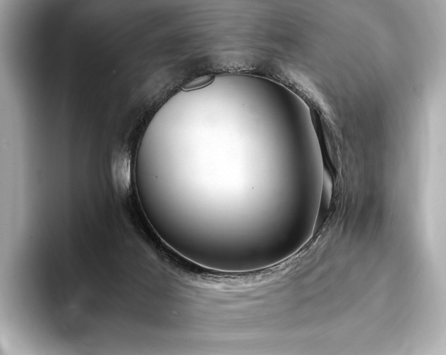 X0000094320021200711021400