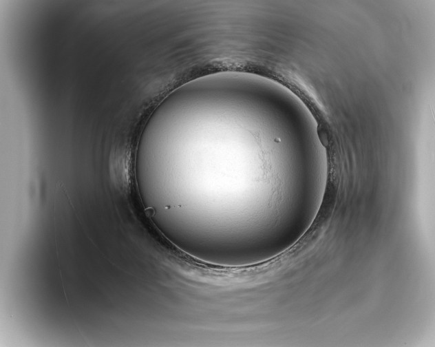 X0000094320023200711021400