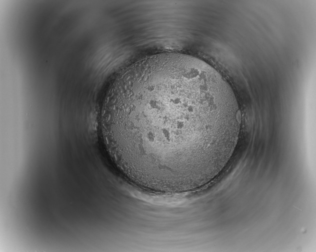 X0000094320032200711021400