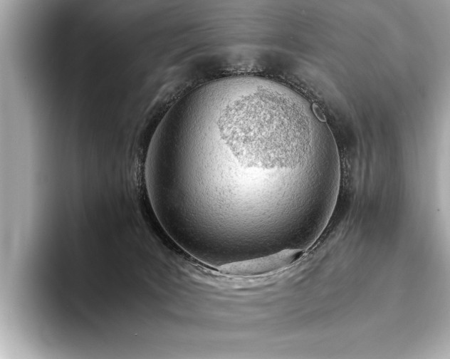 X0000094320035200711021359