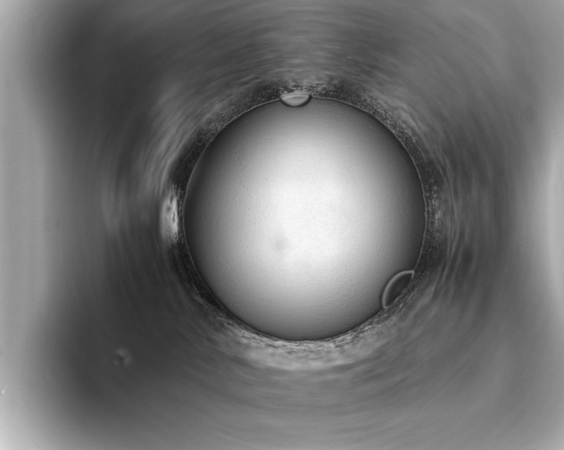X0000094320042200711021359