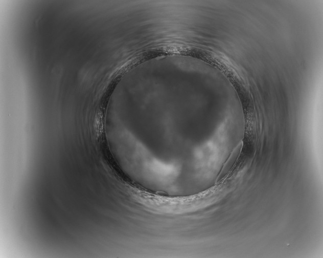 X0000094320043200711021359