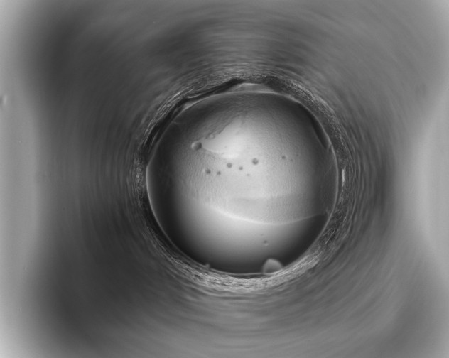 X0000094320048200711021359