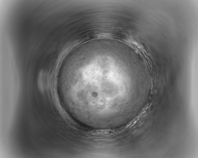 X0000094320049200711021359
