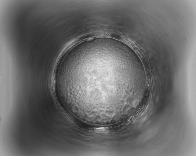 X0000094320053200711021359