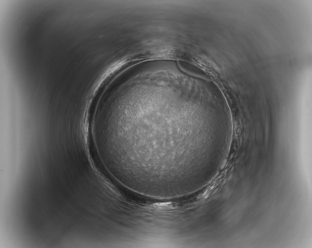 X0000094320054200711021359