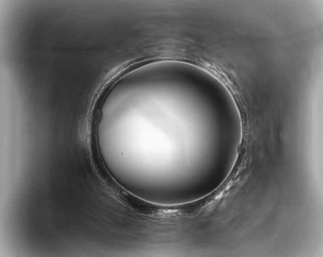 X0000094320055200711021359