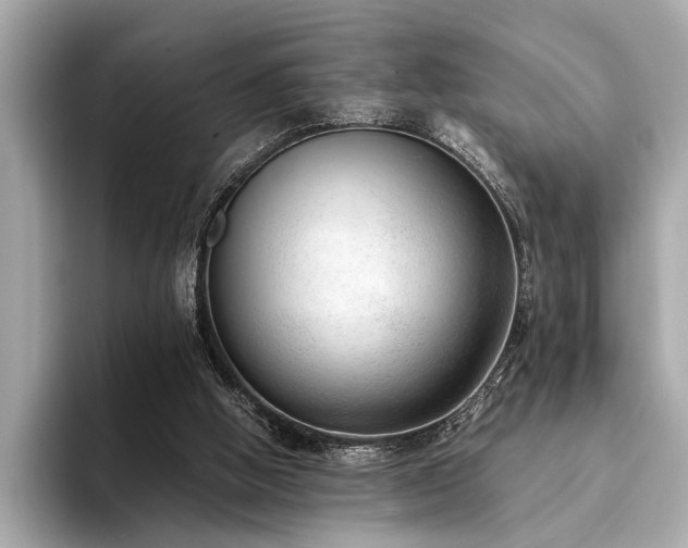 X0000094320058200711021359