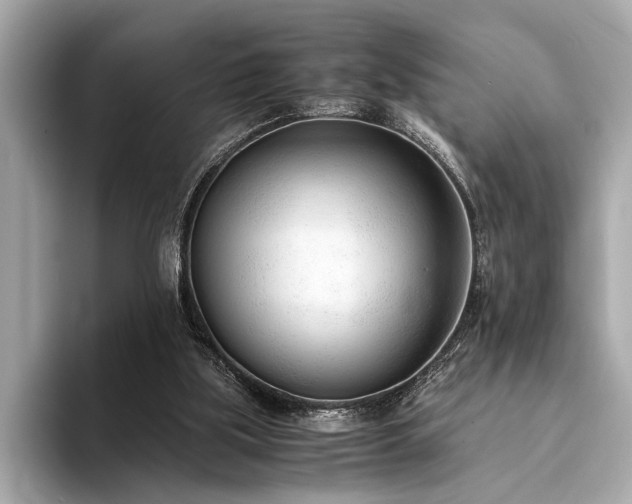 X0000094320059200711021359