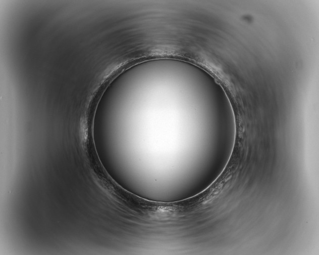 X0000094320060200711021359