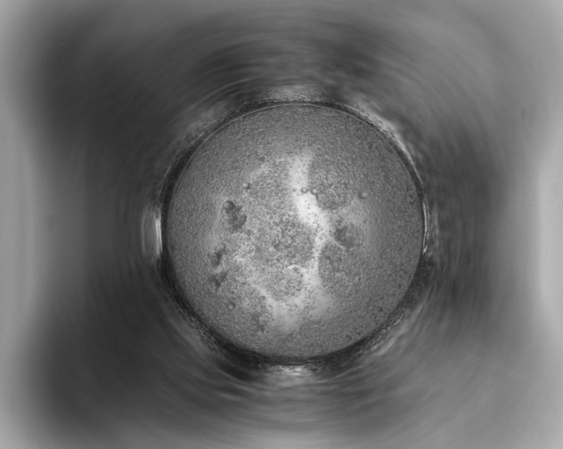 X0000094320061200711021359
