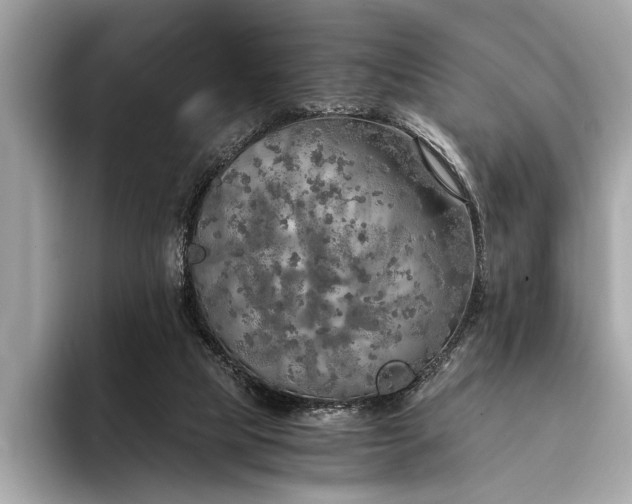 X0000094320065200711021359