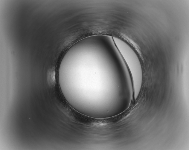 X0000094320067200711021359
