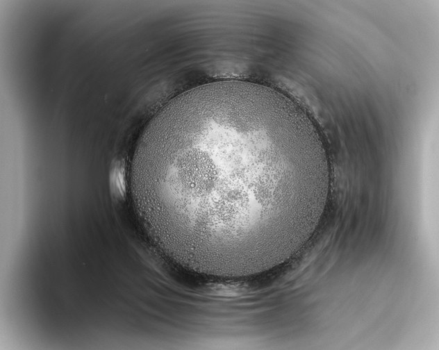 X0000094320069200711021359