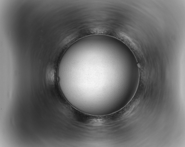 X0000094320071200711021359