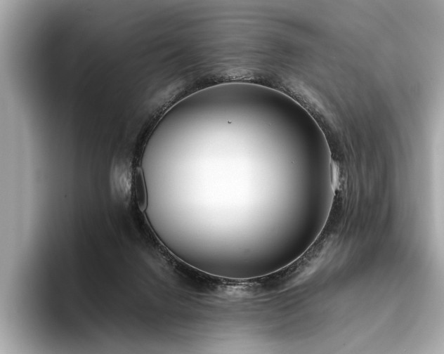 X0000094320072200711021359