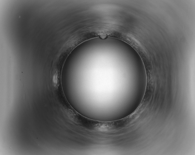 X0000094320074200711021359