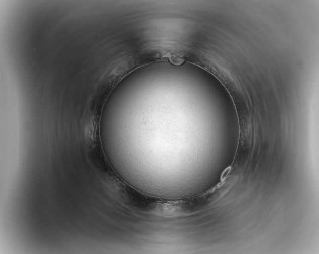 X0000094320078200711021359