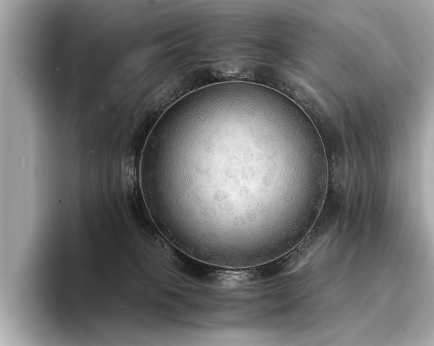 X0000094320085200711021359