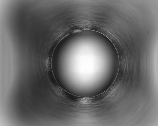 X0000094320088200711021359