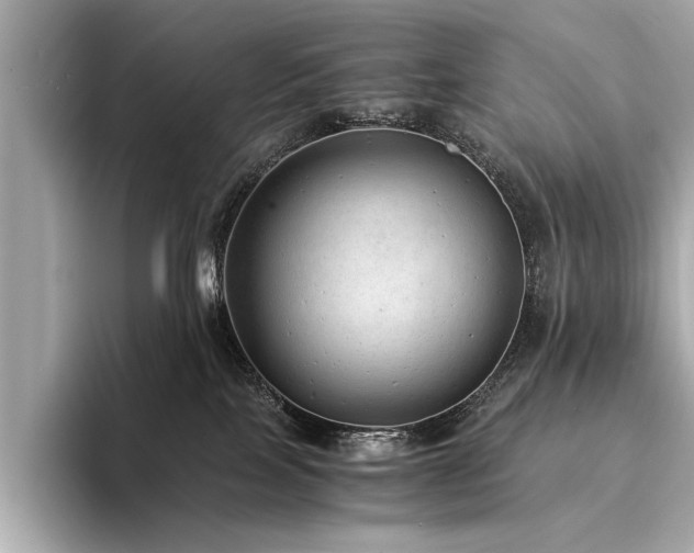 X0000094320089200711021359