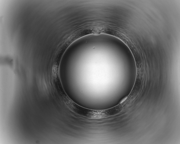 X0000094320093200711021359