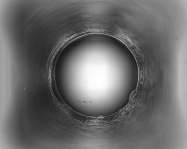 X0000094320098200711021359