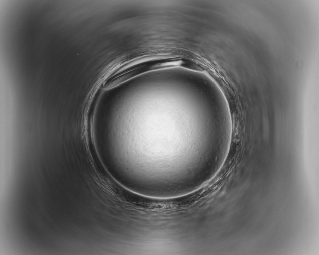 X0000094320099200711021359