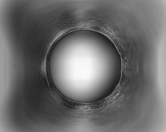 X0000094320100200711021359