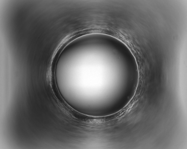 X0000094320102200711021359