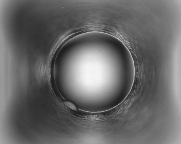 X0000094320103200711021359