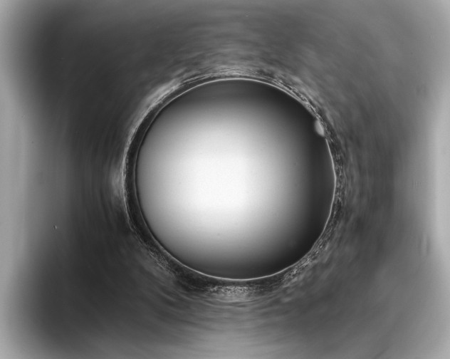 X0000094320104200711021359