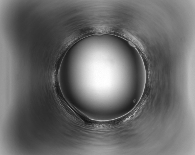 X0000094320105200711021359